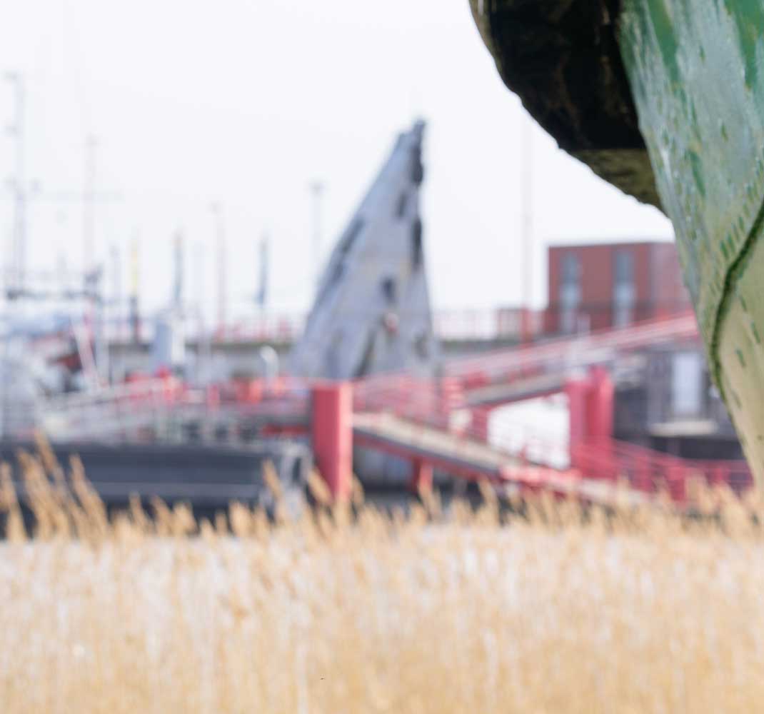 uebersehhafen rostock krananlagen